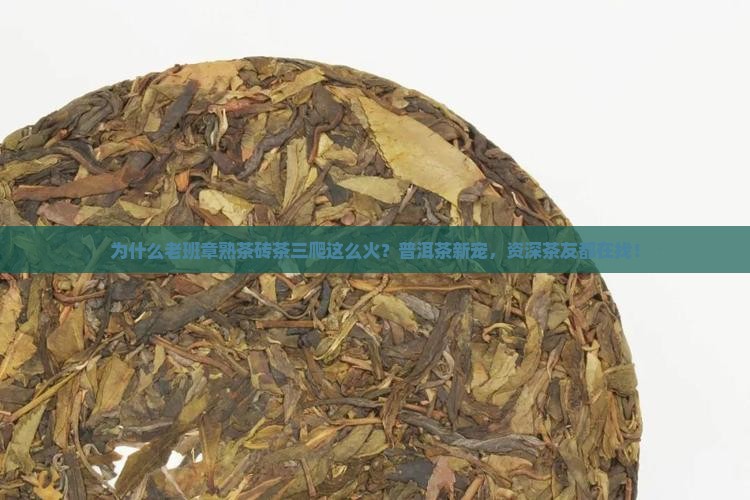 老班章熟茶砖茶三爬