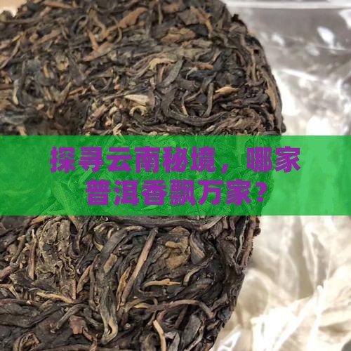 云南哪里普洱茶有卖