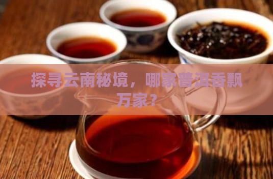 云南哪里普洱茶有卖
