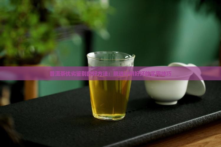 识别普洱茶的好坏