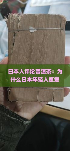 日本人评论普洱茶