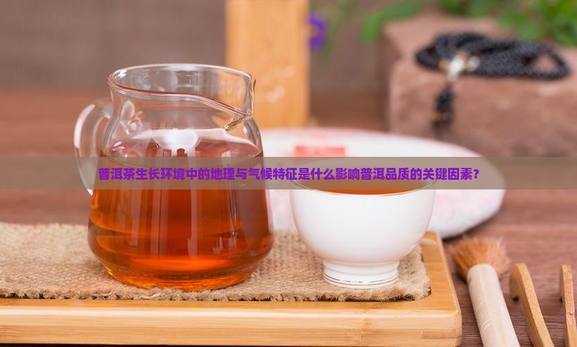 普洱茶地理气候特征是什么