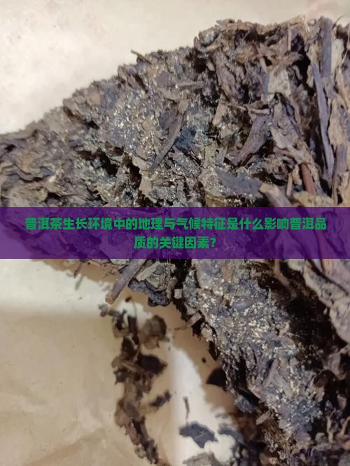 普洱茶地理气候特征是什么