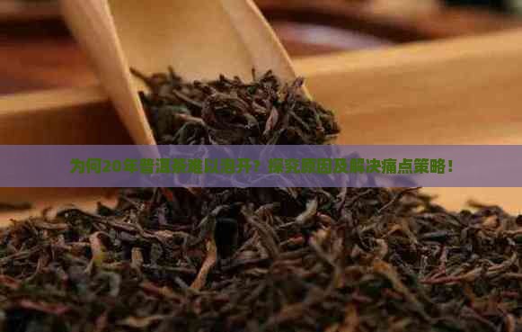 普洱茶20年为什么泡不开