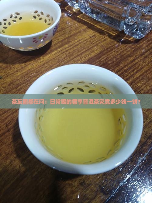 君享普洱茶多少钱