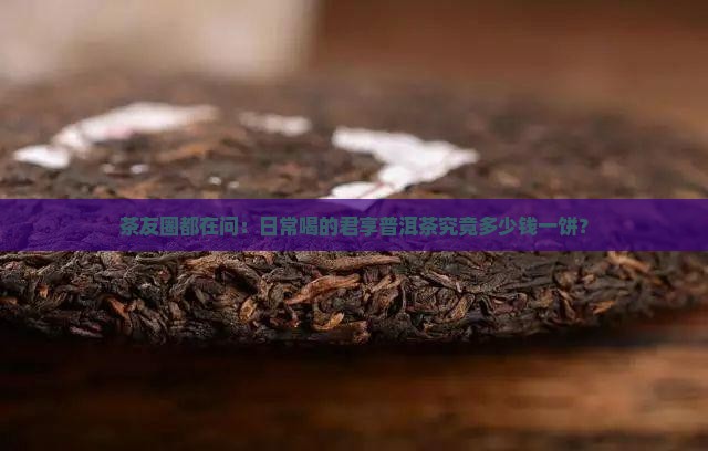 君享普洱茶多少钱