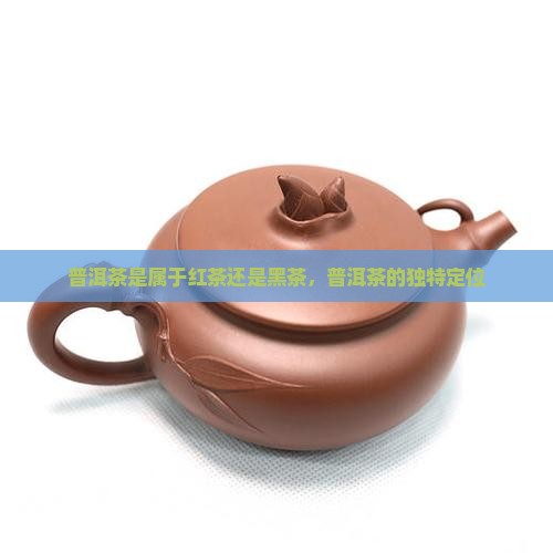 普洱茶里面不属于哦
