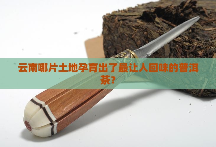普洱茶云南哪里生产的比较好