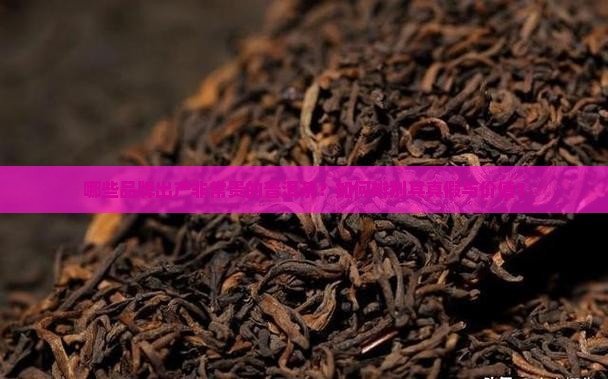 非常贵的普洱茶有哪些品牌
