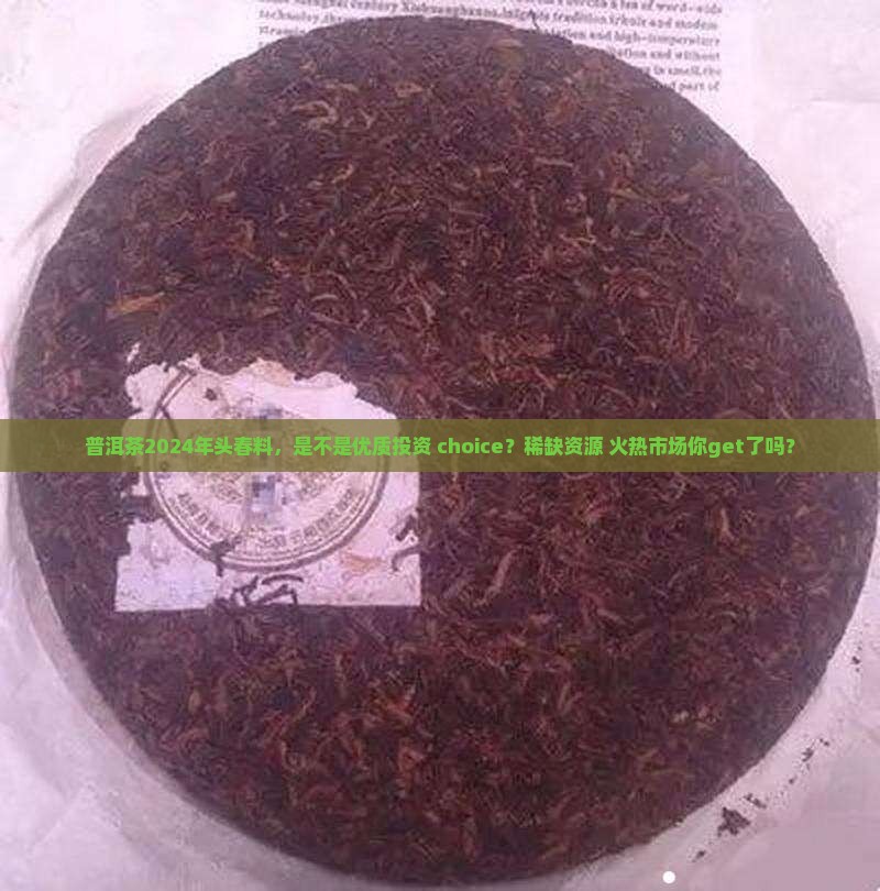 普洱茶2024年头春料