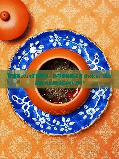 普洱茶2024年头春料