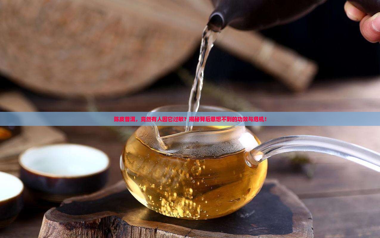 陈皮普洱茶功效过敏