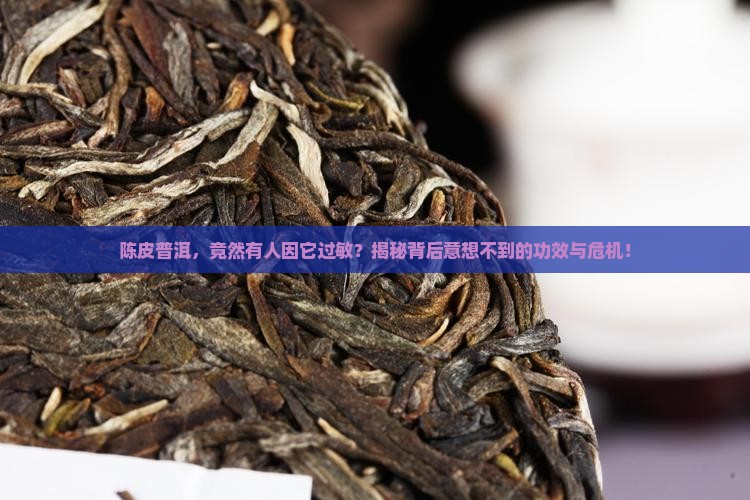 陈皮普洱茶功效过敏