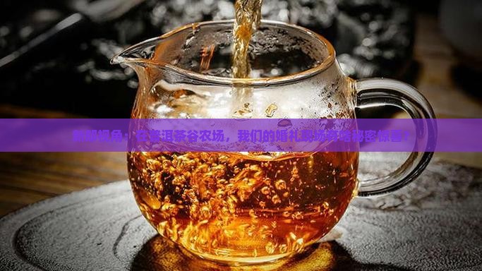 普洱茶谷农场婚礼现场