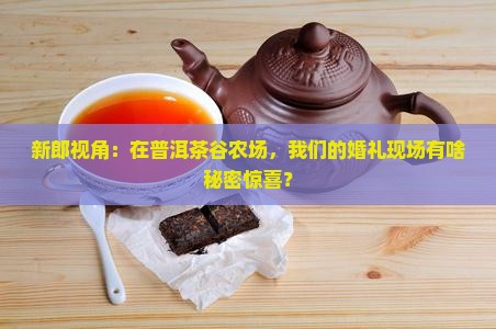 普洱茶谷农场婚礼现场