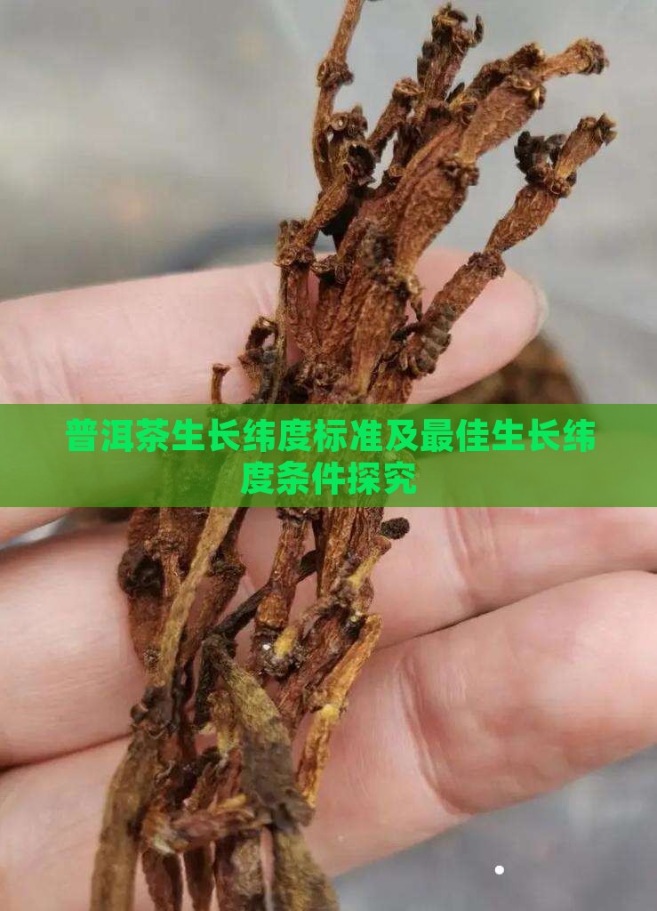 普洱茶生长纬度标准