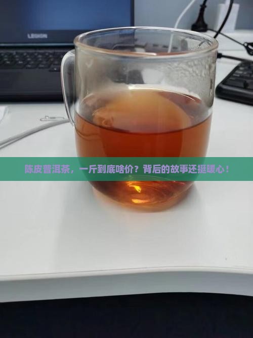 陈皮一般普洱茶多少钱一斤