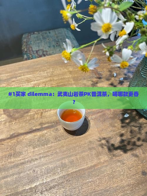 武夷山岩茶与普洱茶哪个好