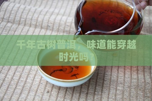 古树的普洱茶怎么样