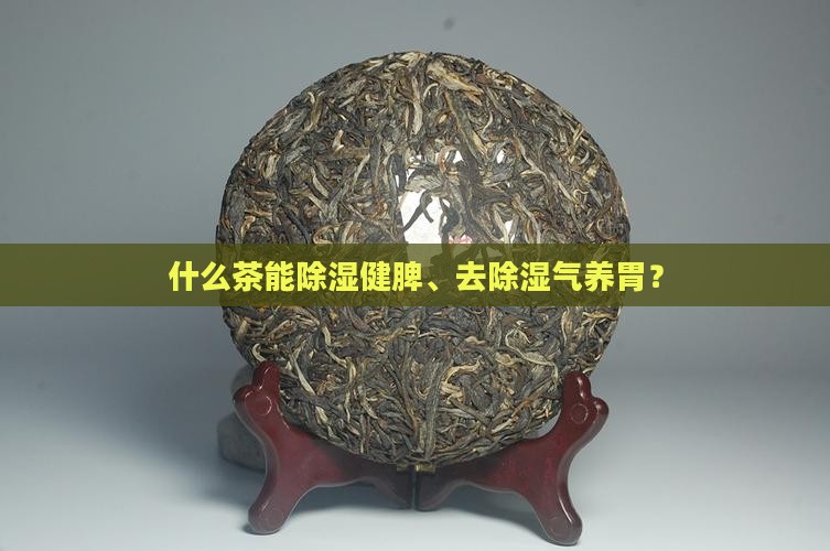 除湿暖胃的茶有哪些