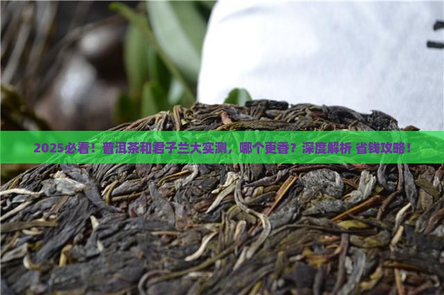 普洱茶和君子兰哪个好