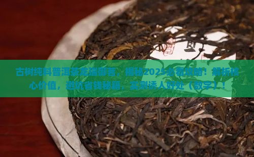 古树纯料普洱茶龙瑞御茗