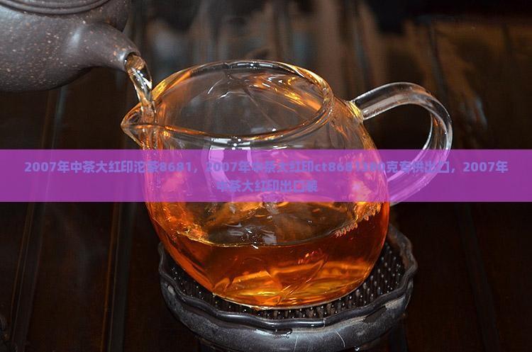 2007年中茶大红印沱茶