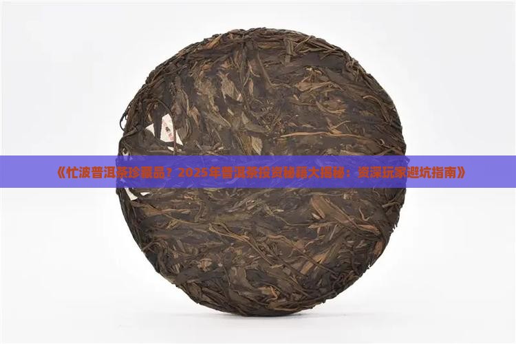 忙波普洱茶珍藏品