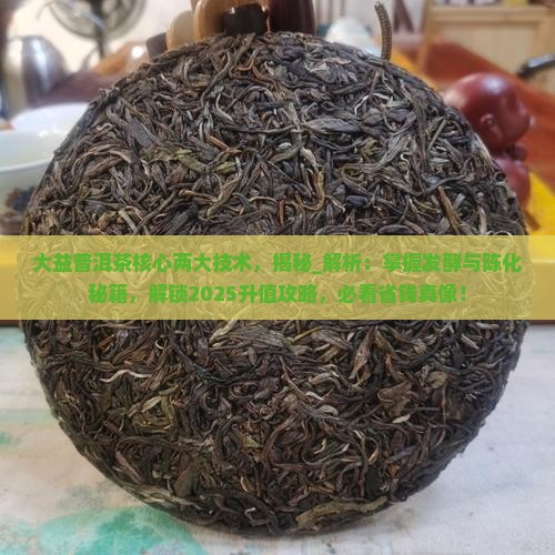 大益普洱茶核心两大技术