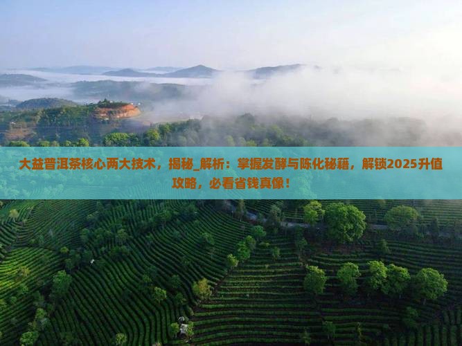 大益普洱茶核心两大技术