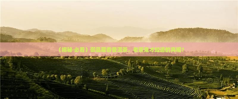 御品藏香普洱茶