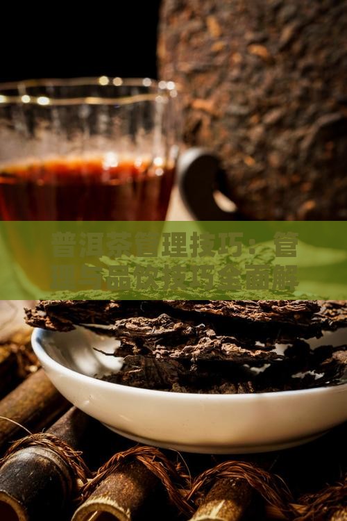 普洱茶管理技巧 普洱茶管理技巧