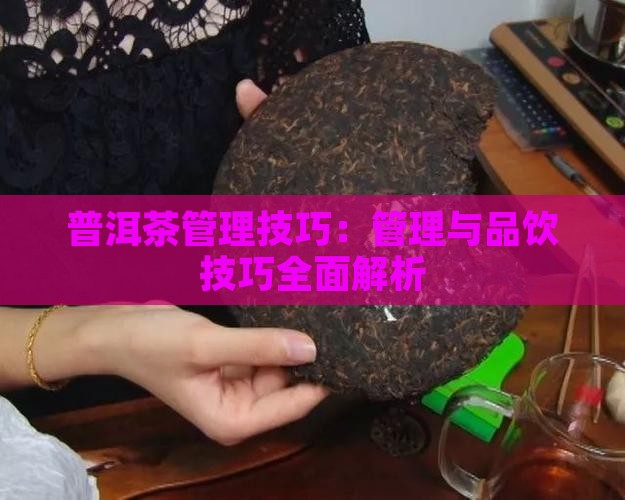 普洱茶管理技巧