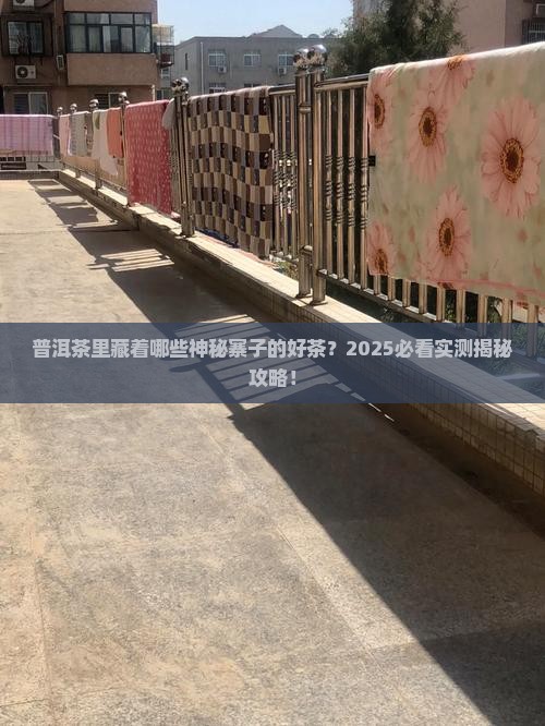 普洱茶有什么寨的茶吗