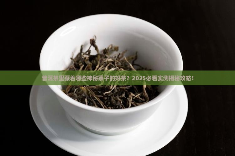 普洱茶有什么寨的茶吗