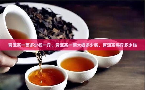 普洱茶一两多少钱一斤