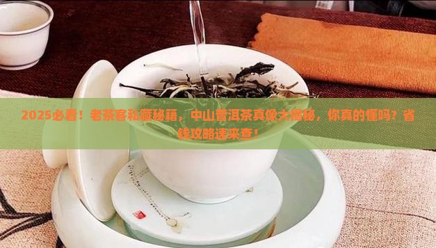 中山普洱茶老茶