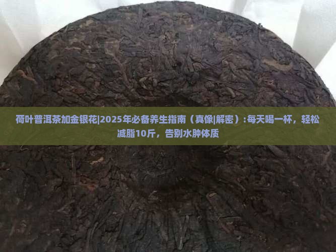 荷叶普洱茶加金银花