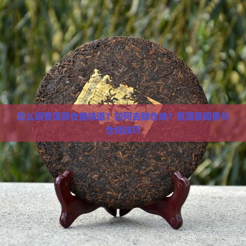 怎么闻普洱茶仓储