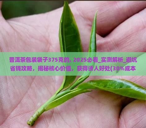 普洱茶包装袋子375克的