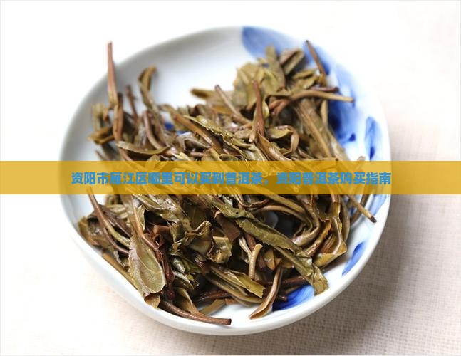 资阳卖普洱茶的地方在哪儿