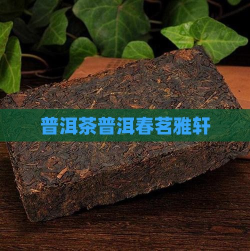 春茗雅轩普洱茶