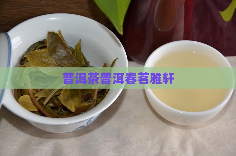 春茗雅轩普洱茶