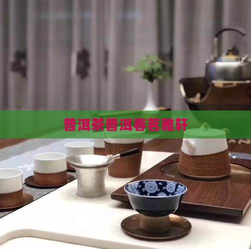 春茗雅轩普洱茶