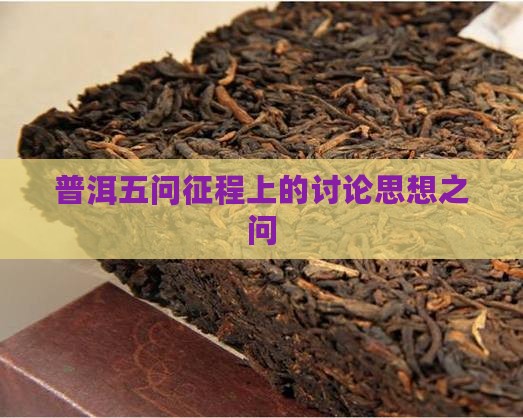 普洱五问思想之问