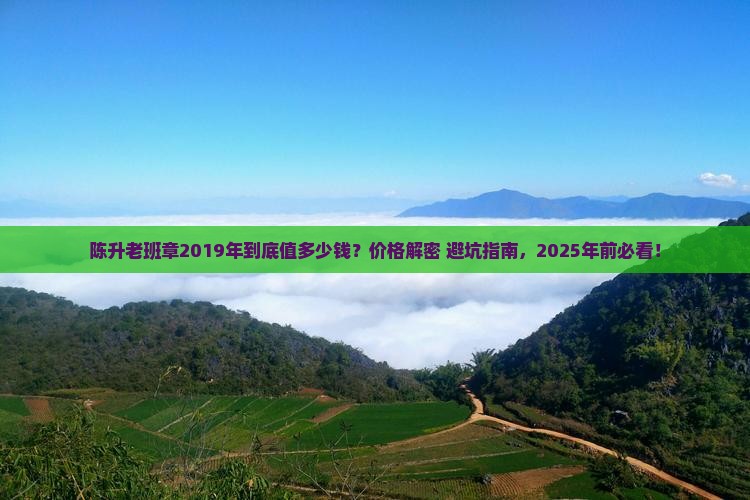 陈升老班章2019年价格