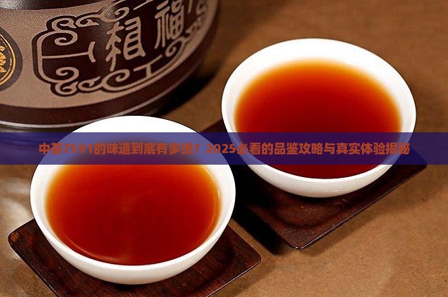 中茶7591的味道