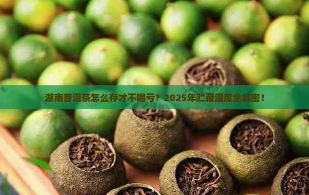 湖南普洱茶叶贮藏温度