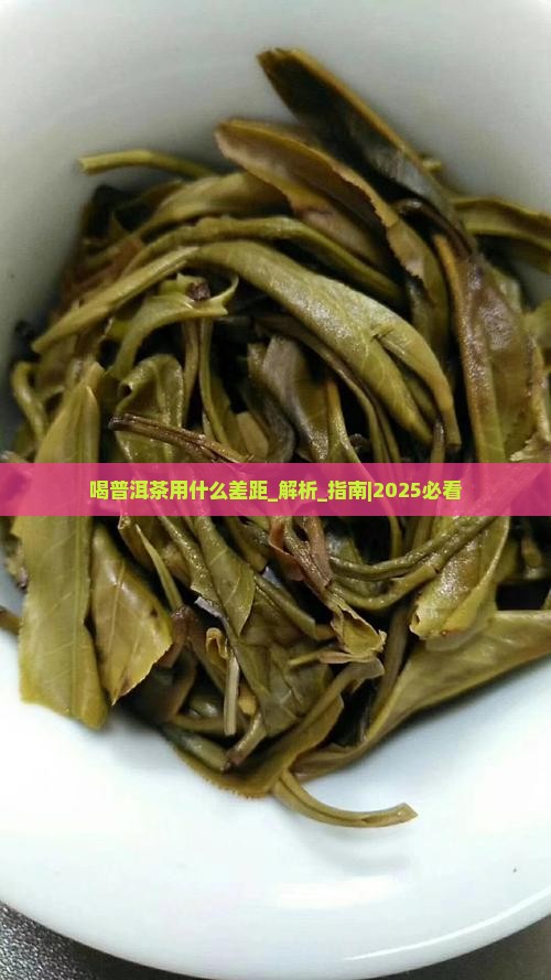喝普洱茶用什么差距