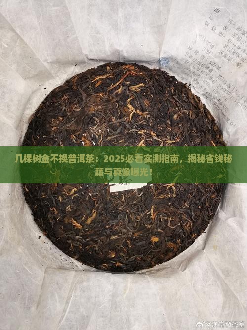 几棵树金不换普洱茶